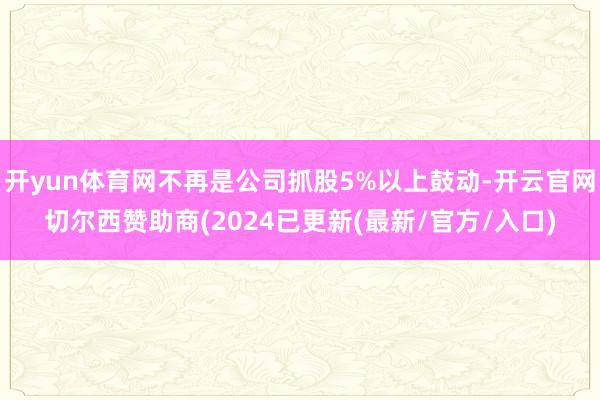 开yun体育网不再是公司抓股5%以上鼓动-开云官网切尔西赞助商(2024已更新(最新/官方/入口)